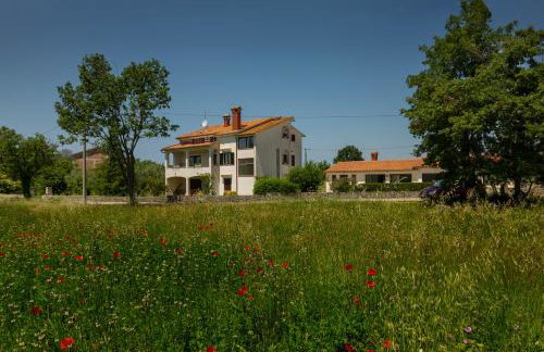 APP FIORELA - Foto 14