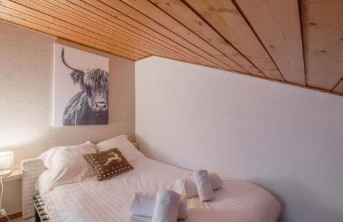 Appartement 4-6 pers au pied des pistes Morzine, animaux admis, parking - FR-1-754-28 - Foto 12