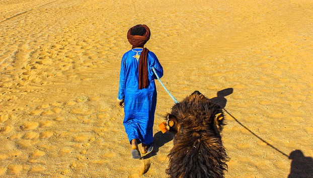 Through the desert by camel