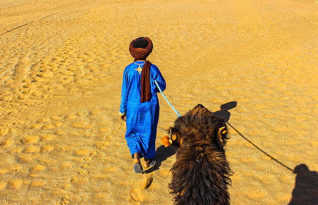 2-Day Zagora Desert Trip - Photo 2