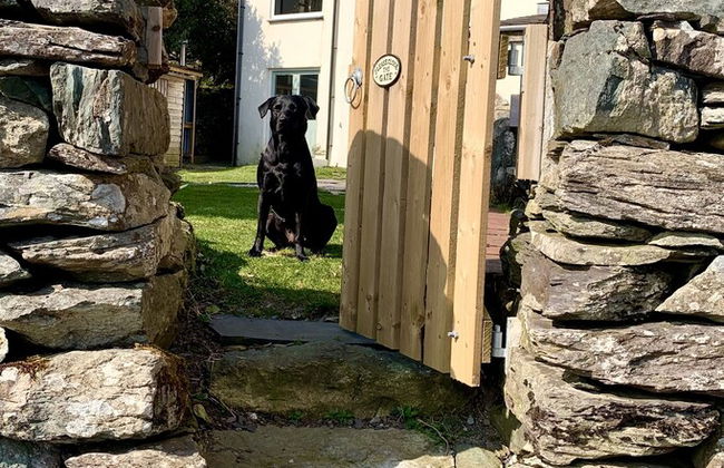 Cottage Dinorwig, get Away From it all - Foto 26