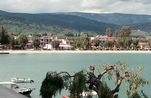 Vrachos Κanari - Photo 63