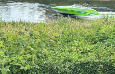 Ferienhaus Weserblick, Haus Forelle - Foto 19