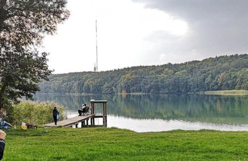 Biały Dom - Foto 21