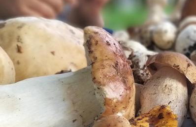 Przystań na Zagórzu - Apartamenty nad jeziorem - Foto 21