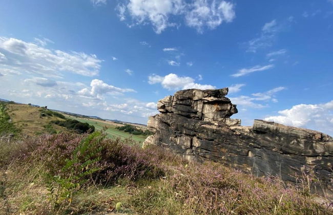 Spacious Apartment in Ballenstedt Harz near Lake - Photo 39