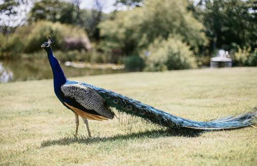 The Old Coach House at Hendra Barns - Foto 10