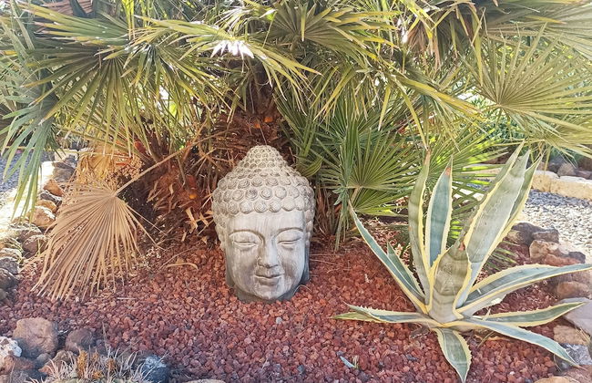 Finca Aurora - Cozy 1-bed Apartment - Foto 25