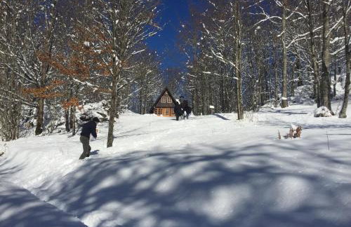 Villa Bodulica - Secluded Mountain Retreat and gateway to Plitvice Lakes - Foto 2