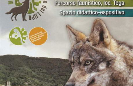 La Marzagrappola - Foto 33