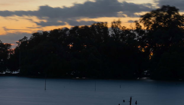 Mangroves Night Cruise