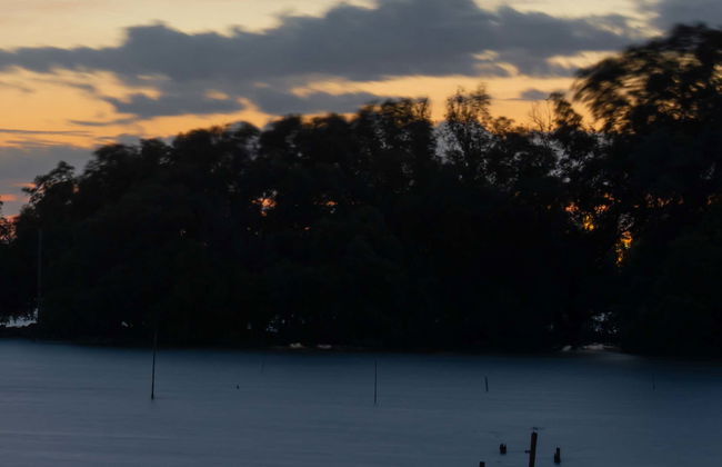 Mangroves Night Cruise - Photo 5