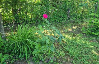 Holiday home Hižica v plavem trnacu - Foto 21