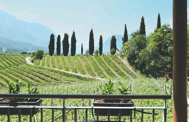 Agritur Casteller - Foto 54