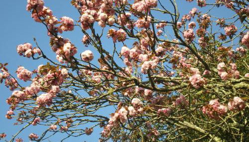 Résidence de l'Espérance - Foto 5