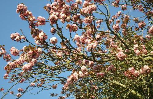 Résidence de l'Espérance - Foto 5