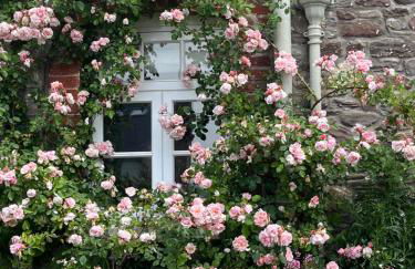 The Cottage - Foto 14