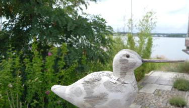 Strandhaus "Knuffeltje" - Foto 2