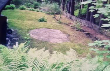 Abenteuerurlaub im Tannenwald - Photo 4