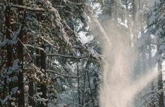 Maciejówka Borki 33 - Foto 44