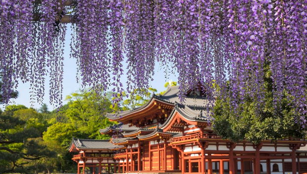 Excursion à Nara et Uji - Photo 4