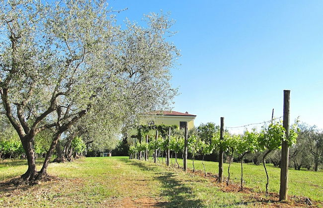 Villa Montecasciano - 8 Sleeps Private Garden - Foto 7