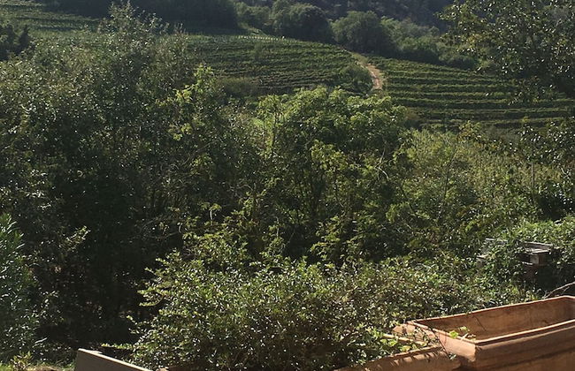 Euganean Hills Apartment - Foto 11