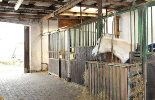 Apartment in Feldmannshof mit Grill und Garten by Interhome - Foto 43