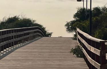 Estrelicia - Photo 46