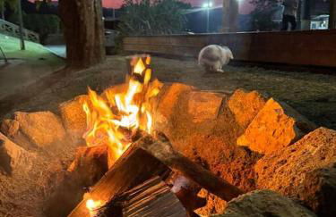 Casa de Campo - Águas Mornas SC - Photo 64