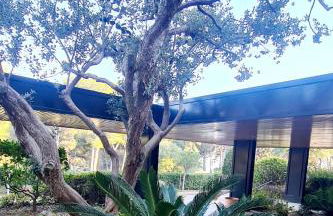 SUPERBE APPARTEMENT VUE MER - PLAGE, PISCINE et TENNIS PRIVE - Foto 28