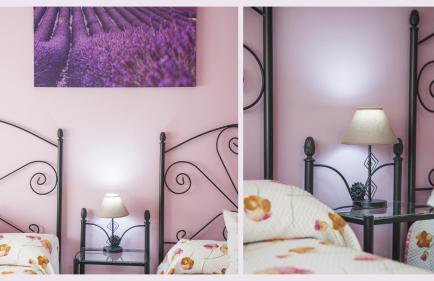 Flor de la Jara - Foto 76