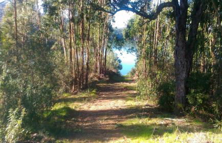 Visitar-Bioucas-II-AL-Q-Casa-Tradicional-Familiar-RNAL-30294-AL - Foto 77