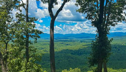 Mountain Top Retreat - Photo 2