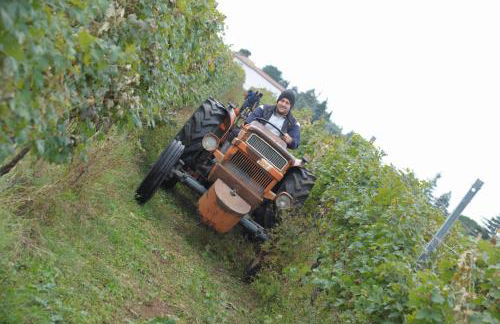 Agriturismo Sol De Montalto - Foto 44