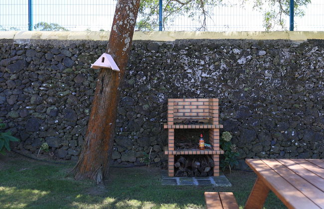 Parrots Village - Foto 50