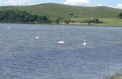 Ferienwohnung auf Rügen mit Boddenblick - Foto 69
