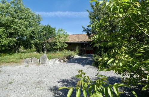 La Chélidoine - Photo 10