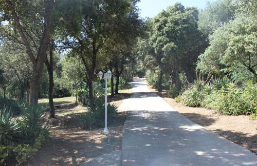 Residence Helios - Foto 22