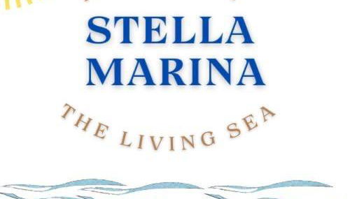 Stella Marina Home Holidays - Foto 2