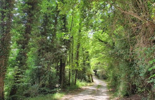 Casal'terra - Il Fosso - Foto 70