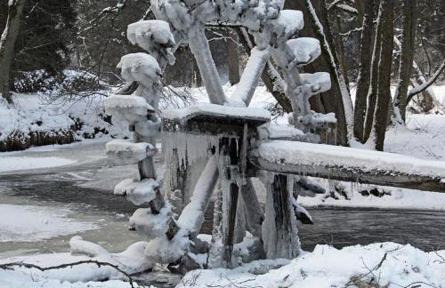 Ferienwohnung Waldstraße - Foto 56