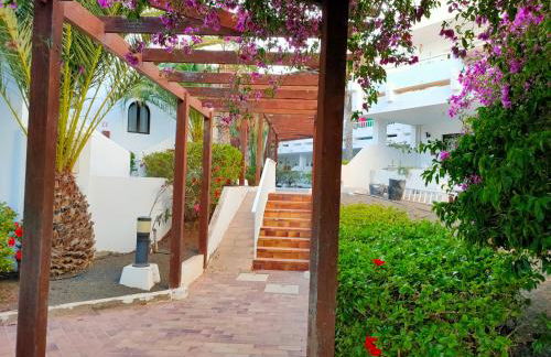 Flor De Cactus - Foto 48