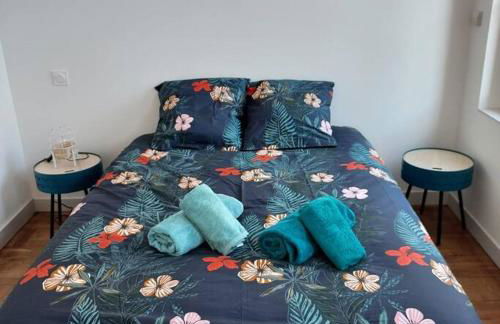 Appartemement F2 refait à neuf hyper centre - Foto 6