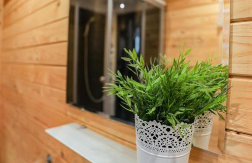 Agroturystyka Zagroda Alpaka - Foto 28