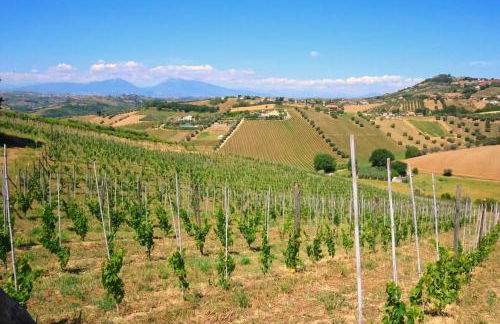 Terra di Ea - Foto 57