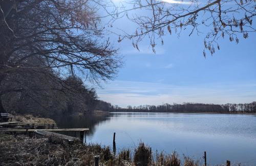 Ferienhaus am See mit Ruderboot - Foto 59