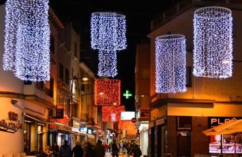 Parrot’s House - Foto 4