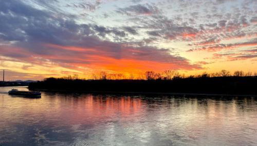 Fewo Rheinblick St Nikolaus Str - Foto 2