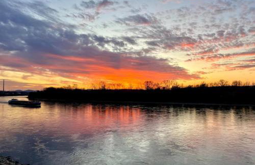 Fewo Rheinblick St Nikolaus Str - Foto 2